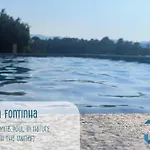Casa Da Fontinha - Swimming Pool & Free Parking Holiday home